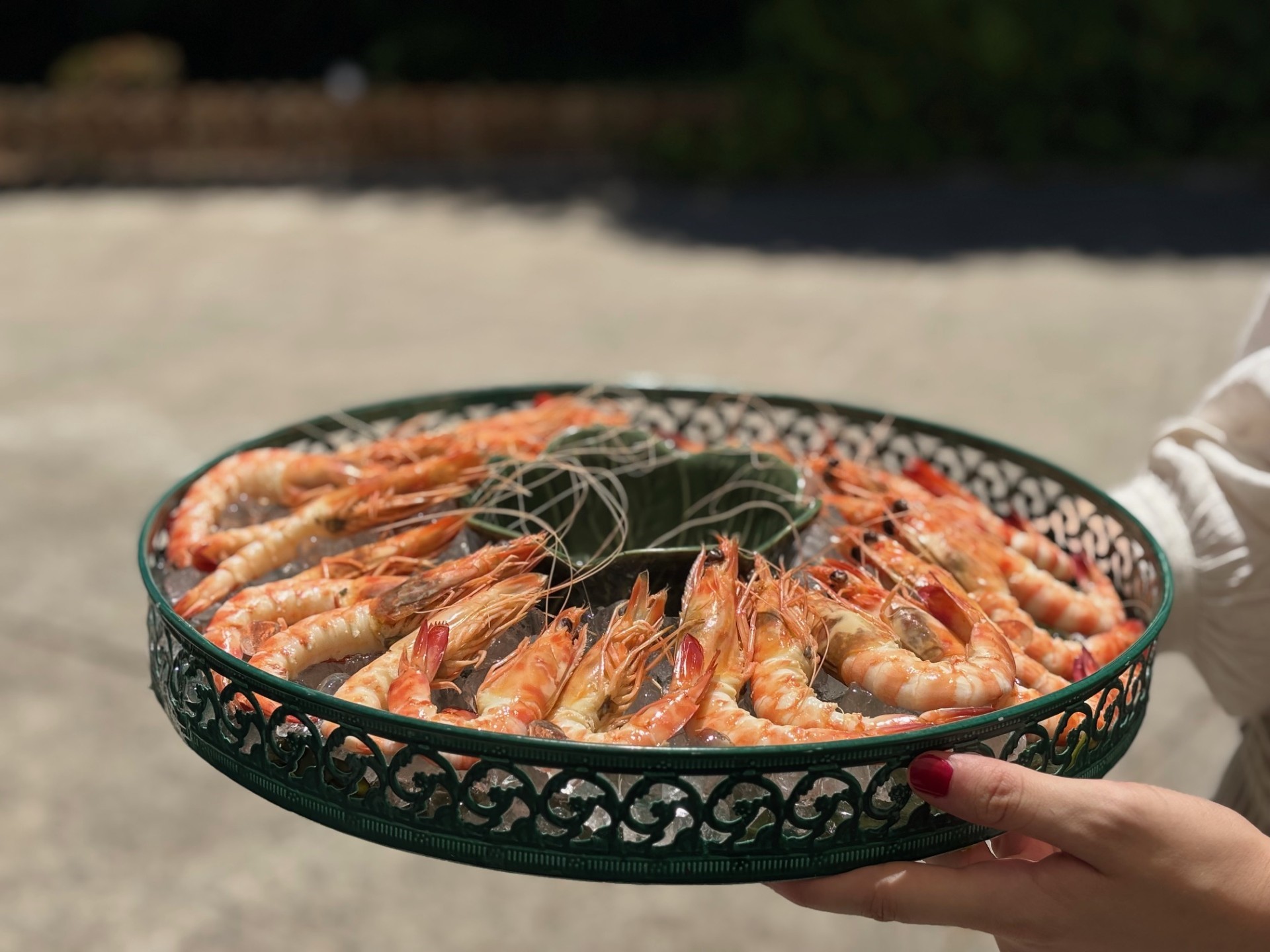 Langostinos de Vinaroz